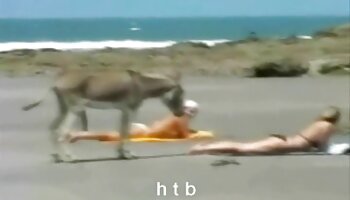 Amberleigh West trong vườn phim zxx thiên thần